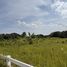  Land for sale in Nong Khwai, Chiang Mai, Nong Khwai, Hang Dong
