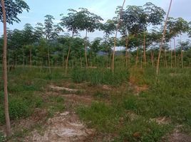  Land for sale in Khao Chamao, Rayong, Huai Thap Mon, Khao Chamao