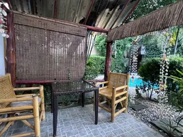 บ้านเดี่ยว 1 ห้องนอน ให้เช่า ในโครงการ Passion Nai Harn Bungalows & Guest House , ราไวย์, เมืองภูเก็ต, ภูเก็ต