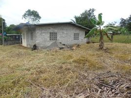 2 Schlafzimmer Haus zu verkaufen in Bugaba, Chiriqui, Bugaba