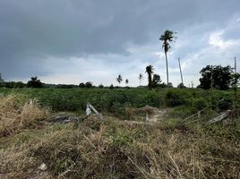  Grundstück zu verkaufen in Pattaya, Chon Buri, Nong Pla Lai