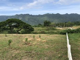  Land for sale in Phaya Yen, Pak Chong, Phaya Yen
