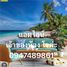 2 Schlafzimmer Wohnung zu vermieten im Arcadia Beach Resort, Nong Prue, Pattaya, Chon Buri, Thailand
