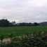  Land for sale in Makro Hangdong, Mae Hia, Mae Hia