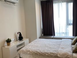 1 спален Кондо в аренду в Rhythm Sukhumvit 42, Phra Khanong