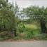  Land for sale in Klaeng, Rayong, Thung Khwai Kin, Klaeng