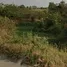  Land for sale in Sung Noen Nakhon Ratchasima, Na Klang, Sung Noen