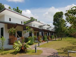 5 Schlafzimmer Villa zu verkaufen in Saraphi, Chiang Mai, Don Kaeo, Saraphi
