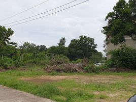  Land for sale in Takua Pa, Phangnga, Bang Muang, Takua Pa