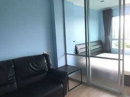 1 Bedroom Condo for rent at Lumpini Ville Lasalle-Barring, Bang Na, Bang Na