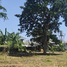  Land for sale in Premium Outlet Phuket, Ko Kaeo, Ko Kaeo