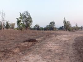  Land for sale in Tak, Nam Ruem, Mueang Tak, Tak