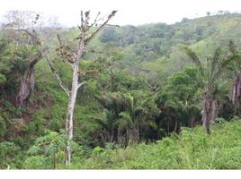  Land for sale in Manglaralto, Santa Elena, Manglaralto