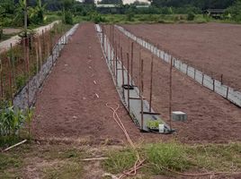  Grundstück zu verkaufen in Mueang Phichit, Phichit, Ban Bung