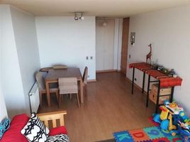 3 Schlafzimmer Appartement zu verkaufen im Macul, San Jode De Maipo, Cordillera, Santiago, Chile