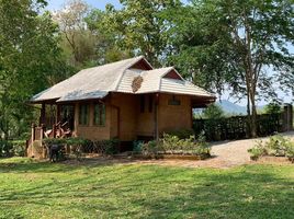 2 Schlafzimmer Haus zu vermieten in Mueang Chiang Rai, Chiang Rai, Mae Kon, Mueang Chiang Rai