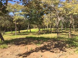  Land for sale in Guanacaste, Santa Cruz, Guanacaste