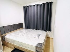 1 Bedroom Condo for rent at Chewathai Hallmark Ladprao-Chokchai 4, Saphan Song, Wang Thong Lang, Bangkok, Thailand