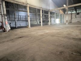  Warehouse for rent in Si Sunthon, Phuket, Si Sunthon, Thalang