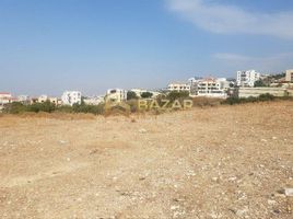  Land for sale at Madinat Zayed, Al Falah Street