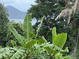  Grundstück zu verkaufen in Thalang, Phuket, Mai Khao, Thalang