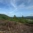  Land for sale in Samui Elephant Home, Na Mueang, Na Mueang