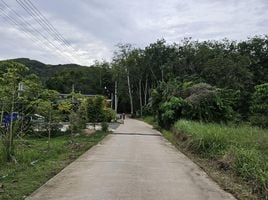  Land for sale in Phuket, Pa Khlok, Thalang, Phuket