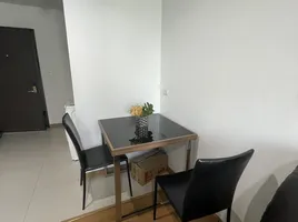 1 Bedroom Condo for rent at Bangkok Feliz Sukhumvit 69, Phra Khanong Nuea, Watthana