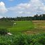  Grundstück zu verkaufen in Tabanan, Bali, Selemadeg, Tabanan, Bali