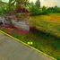  Land for sale in San Kamphaeng Chiang Mai, Mae Pu Kha