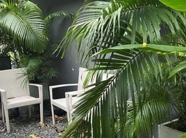  Retail space for rent in Kathu, Phuket, Kathu, Kathu, Phuket
