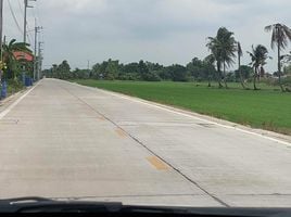  Land for sale in Nong Suea Pathum Thani, Bueng Bon