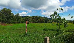 N/A Land for sale in Pa Khlok, Phuket 