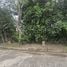 Land for sale at Chiangmai Lake Land, Suthep, Mueang Chiang Mai