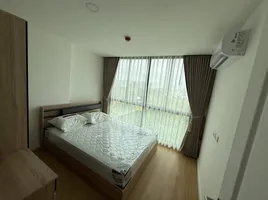 คอนโด 1 ห้องนอน ให้เช่า ในโครงการ ซีรอคโค บางนา 36, บางนา, บางนา, กรุงเทพมหานคร
