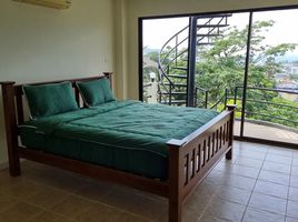 10 Schlafzimmer Ganzes Gebäude zu verkaufen in Kathu, Phuket, Patong