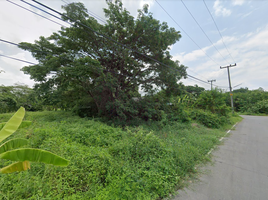  Grundstück zu verkaufen in San Kamphaeng, Chiang Mai, Ton Pao, San Kamphaeng