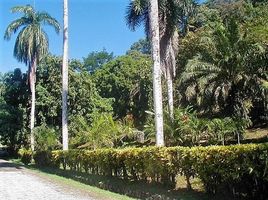  Land for sale in Puntarenas, Golfito, Puntarenas