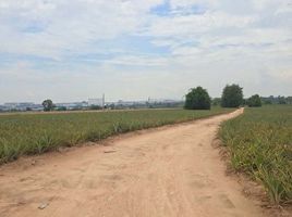  Земельный участок for sale in Pluak Daeng Районг, Map Yang Phon, Pluak Daeng, Районг