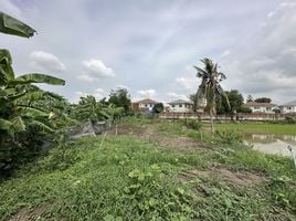 ขายที่ดิน ใน ปากเกร็ด นนทบุรี, คลองข่อย, ปากเกร็ด