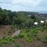  Land for sale in Karon, Phuket, Karon