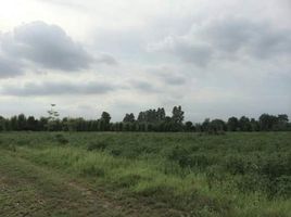  Land for sale in Nong Ki, Kabin Buri, Nong Ki