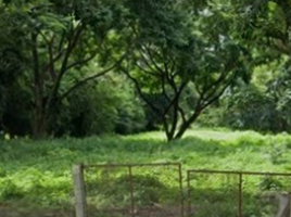  Grundstück zu verkaufen in Mueang Chiang Rai, Chiang Rai, Rop Wiang