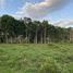  Land for sale in El Porvenir Atlantida, El Porvenir, Atlantida