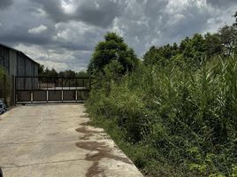  Grundstück zu verkaufen in Mueang Nakhon Pathom, Nakhon Pathom, Nong Pak Long, Mueang Nakhon Pathom