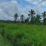  Land for sale in Rio Preto Da Eva, Amazonas, Rio Preto Da Eva