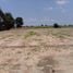  Land for sale in Nong Ya Sai, Suphan Buri, Nong Ratchawat, Nong Ya Sai