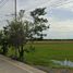  Land for sale in MRT Station, Nonthaburi, Sai Yai, Sai Noi, Nonthaburi
