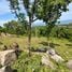  Land for sale in Ang Thong, Surat Thani, Ang Thong