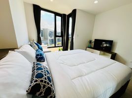 Studio Apartment for rent at THE BASE Central Phuket, Wichit, Phuket Town